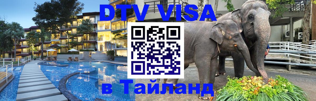 Оформление DTV визы под ключ: стоимость и тарифы, только загранпаспорт - Волгодонск  08.01.2026 